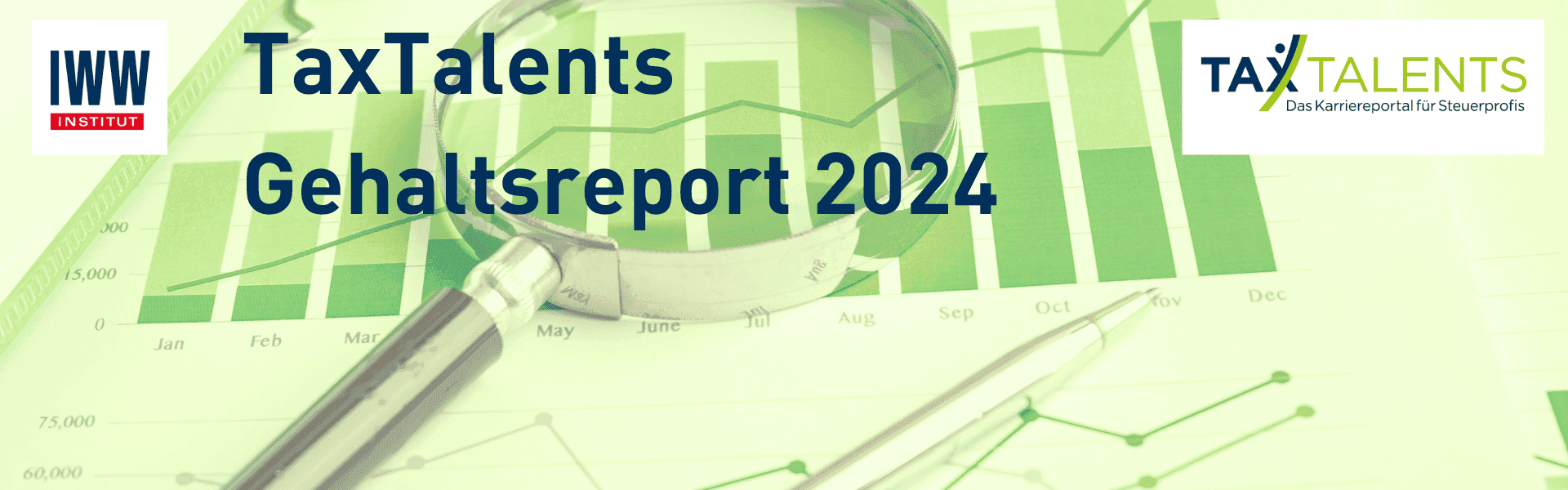 Einblick in die Gehälter der Steuerbranche 2024